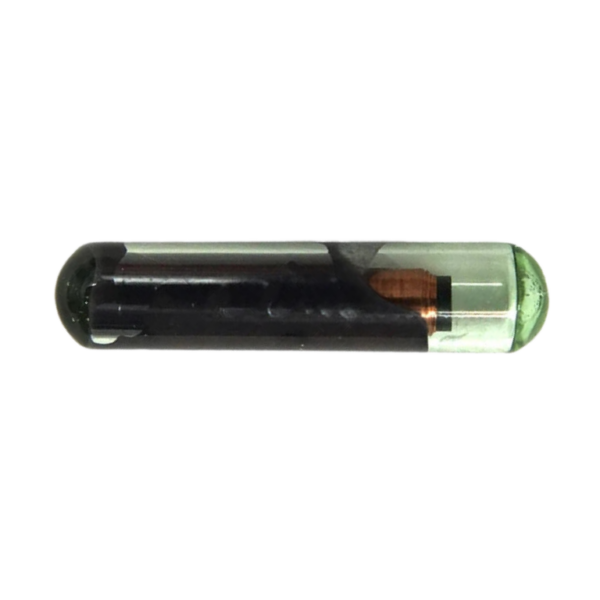 ID48 Paralelo
