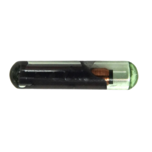 ID44 Paralelo Cambus