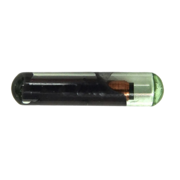 ID44 Paralelo Cambus
