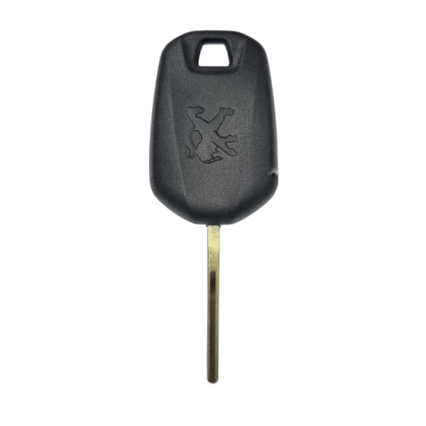Chave Transponder Peugeot Friso Lateral